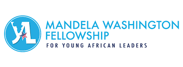 Young African leaders attending the YALI Mandela Washington Fellowship leadership training program in the USA